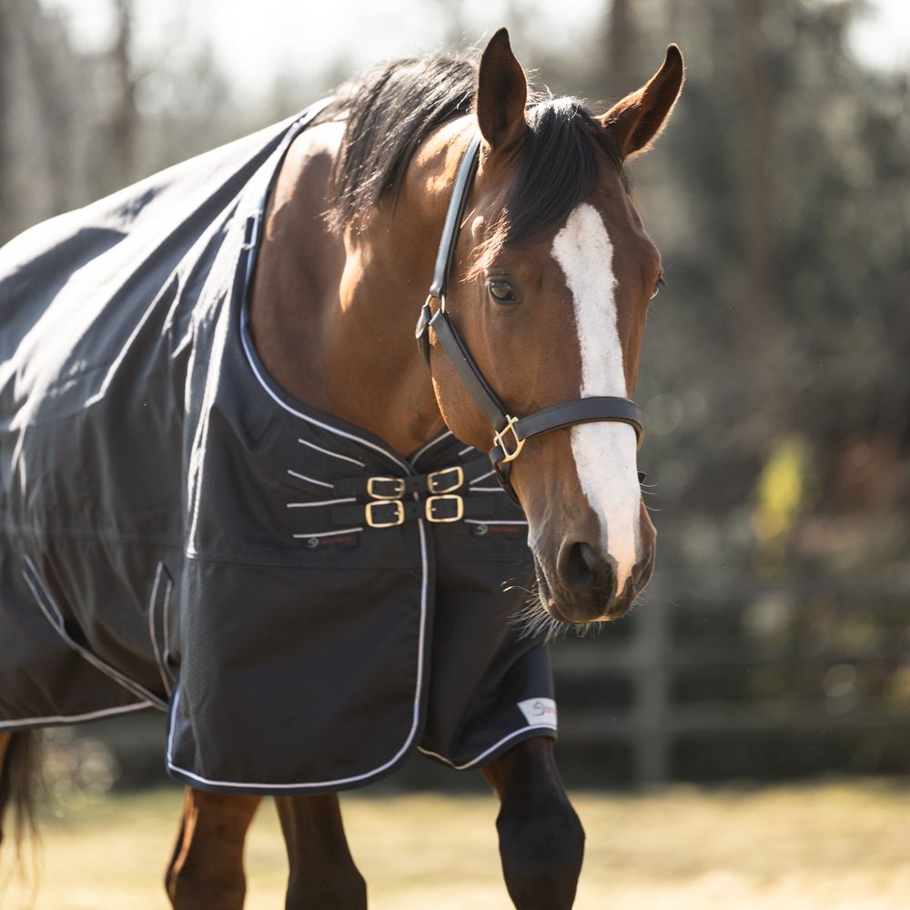 Mantas para Caballos