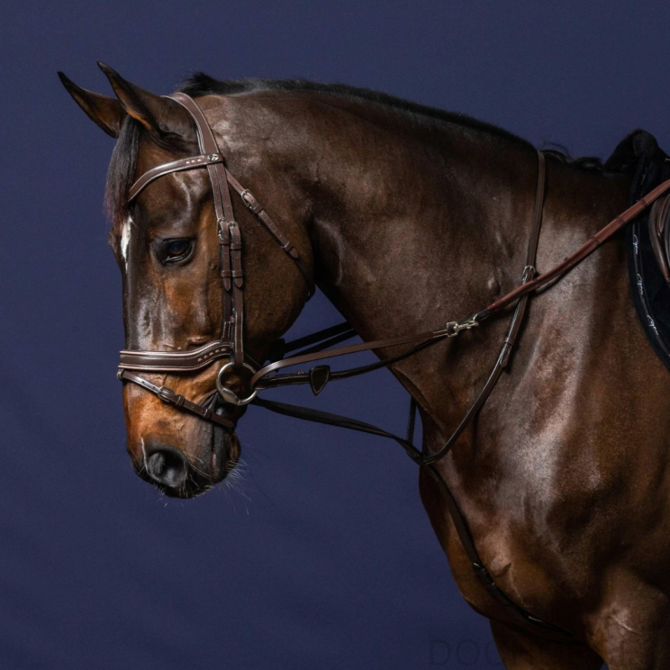 Dy'on Hulpteugel Howlett - Working