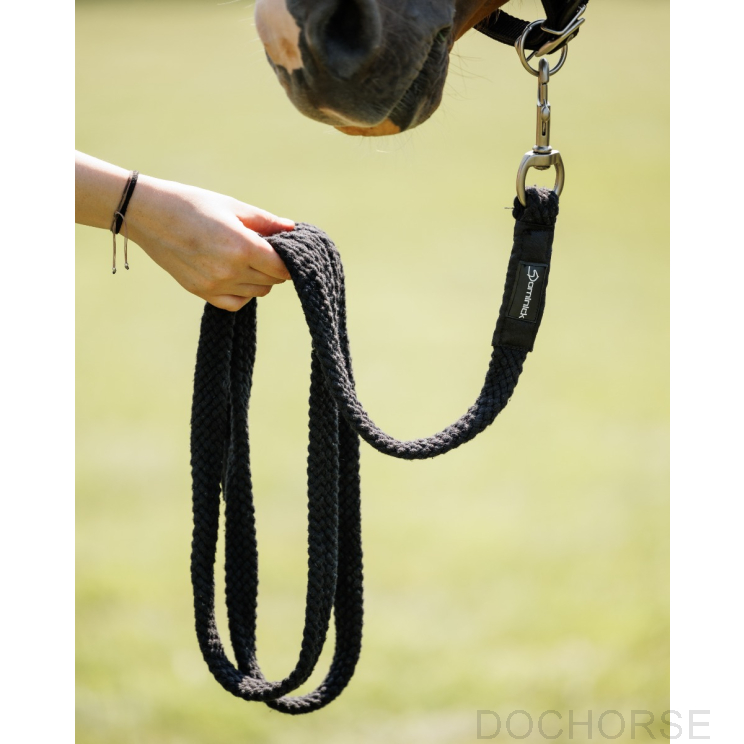 Dominick Halstertouw