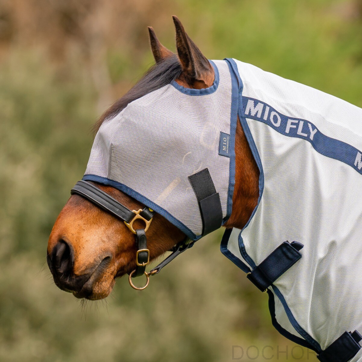 Amigo Mio Vliegenmasker