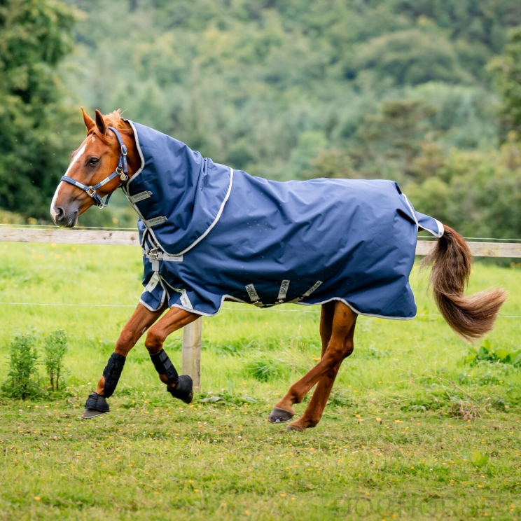 Amigo Bravo Plus Navy