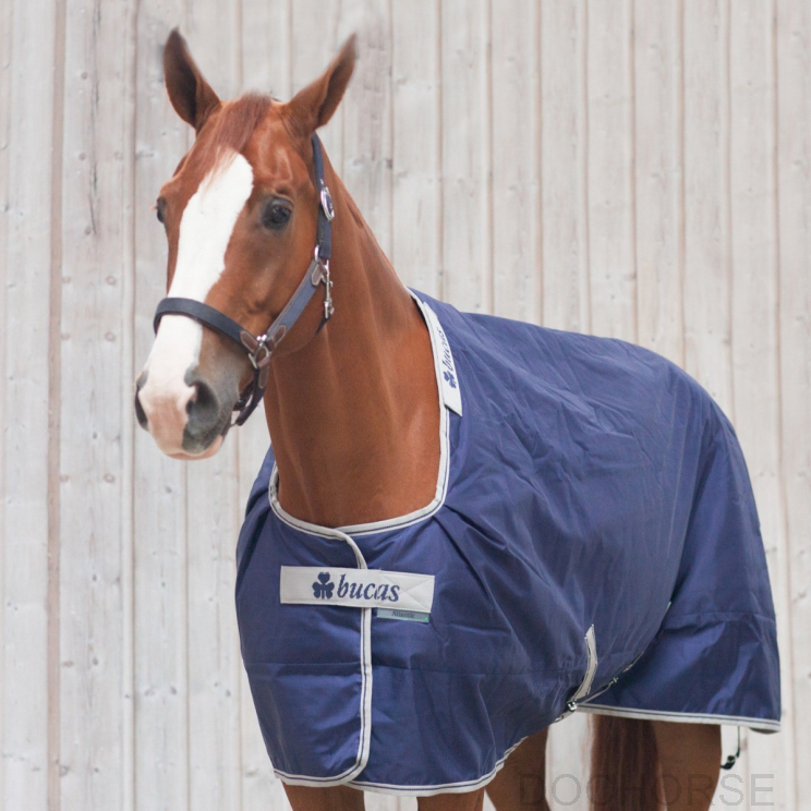 bucas atlantic turnout 200 big neck