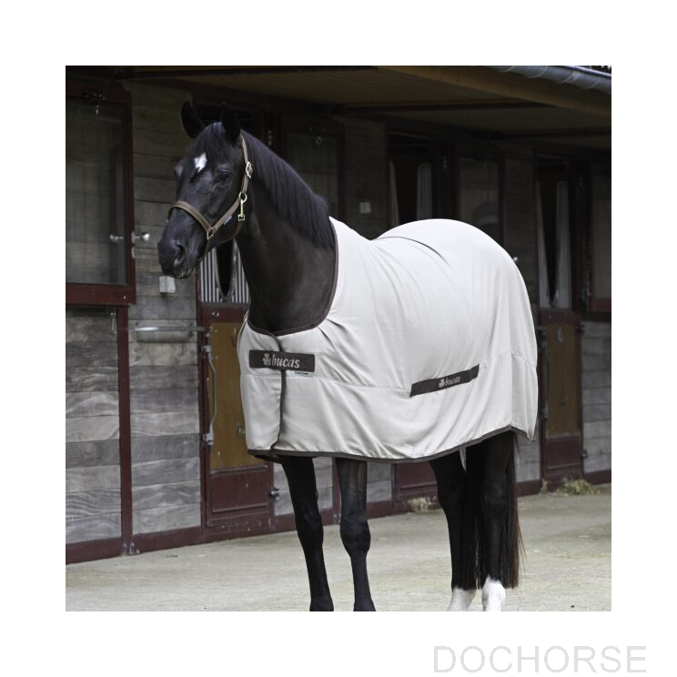 Bucas Cool Sheet Linen Beige Front