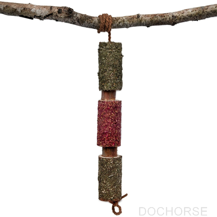 Candy Horse Wooden Toy Immuno