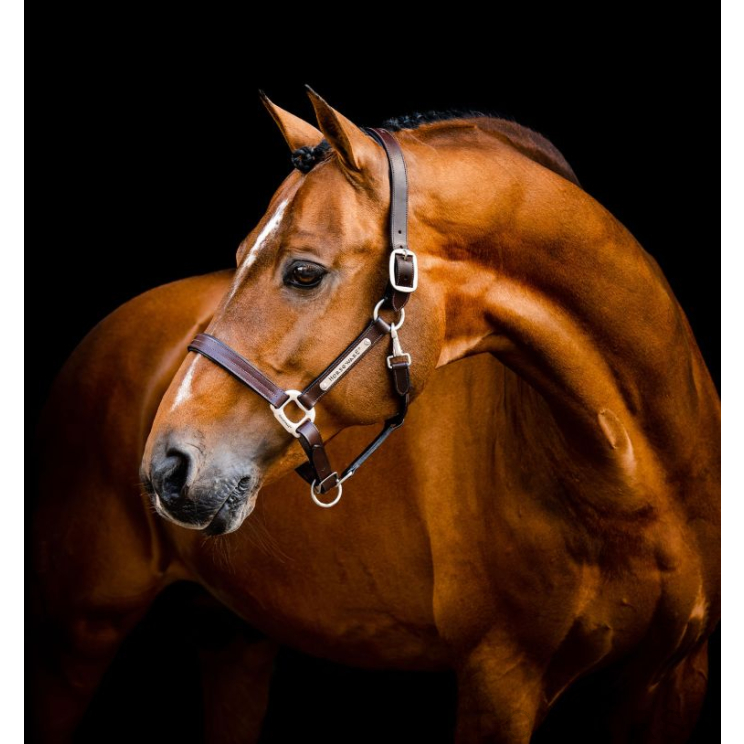 Horseware Signature Leather Headcollar Brown