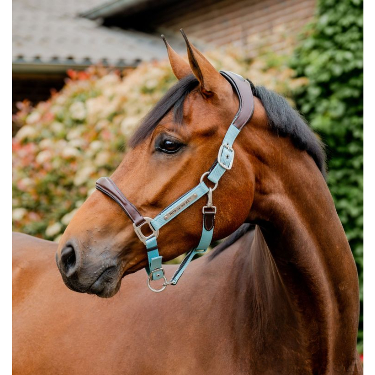 Horseware Signature Competition Headcollar Brown / Blue Haze 
