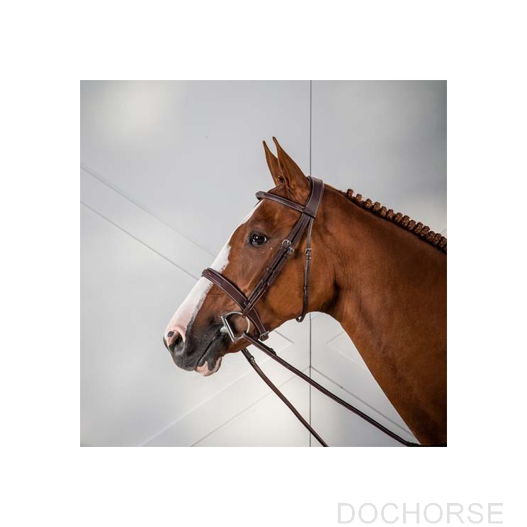 dyon hunter hoofdstel