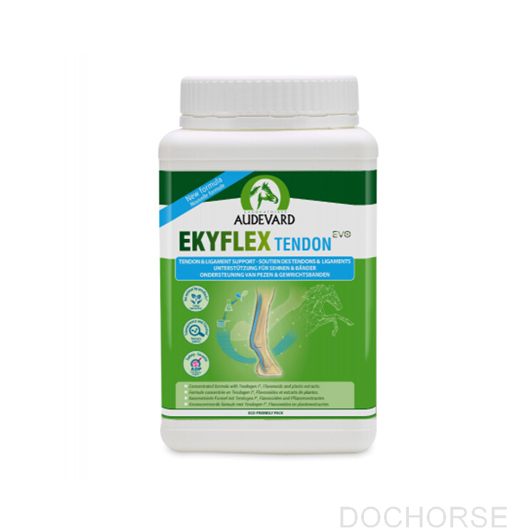 audevard ekyflex tendon evo