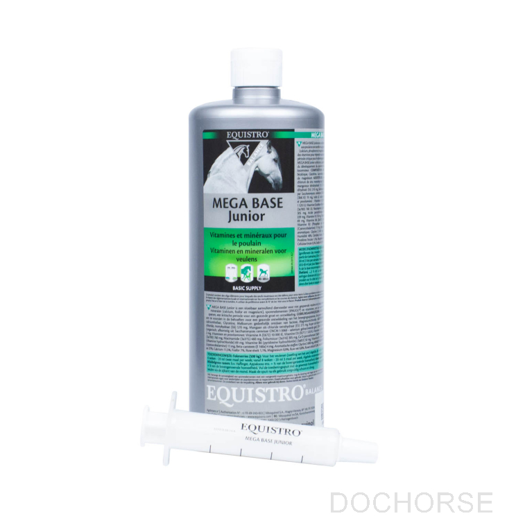 Equistro Mega Base Junior