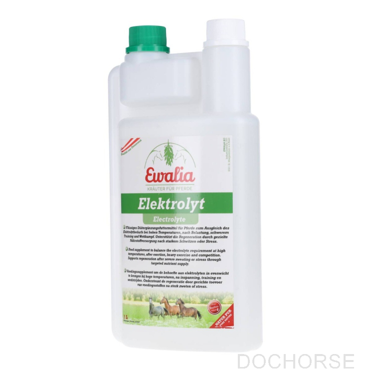 Ewalia Electrolyte 1000ml