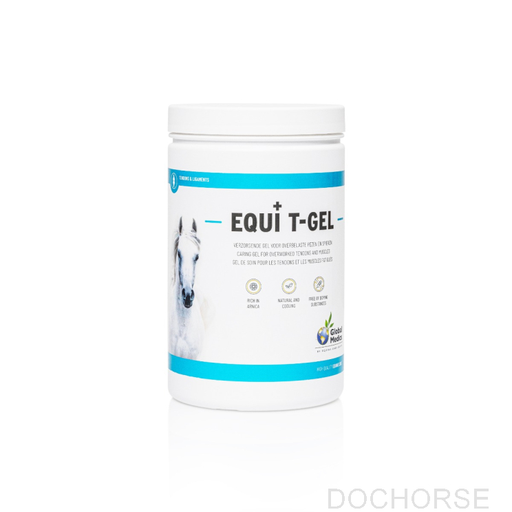 global medics equi t-gel