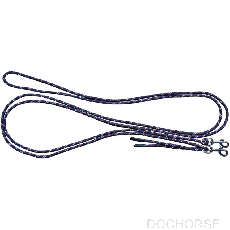 Lunging cord with snap hooks