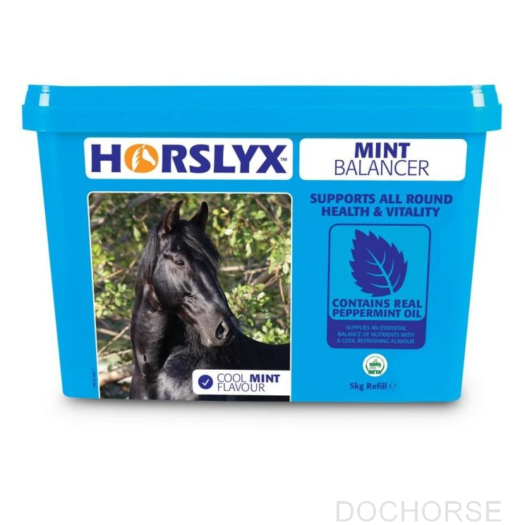 Horslyx Mint Balancer 5KG
