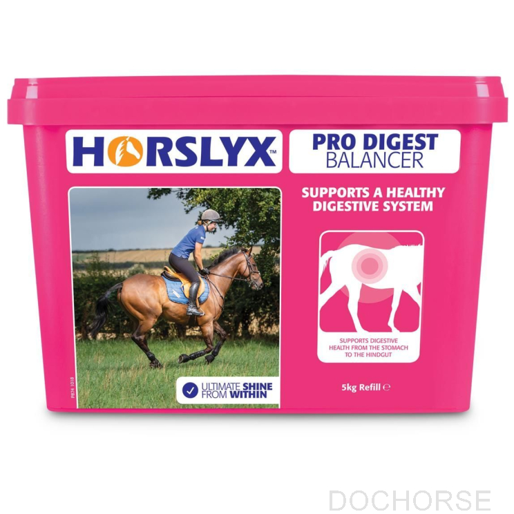 Horslyx Pro Digest Balancer 5KG