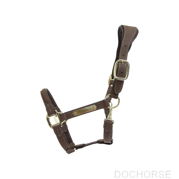Kentucky Halster Suede