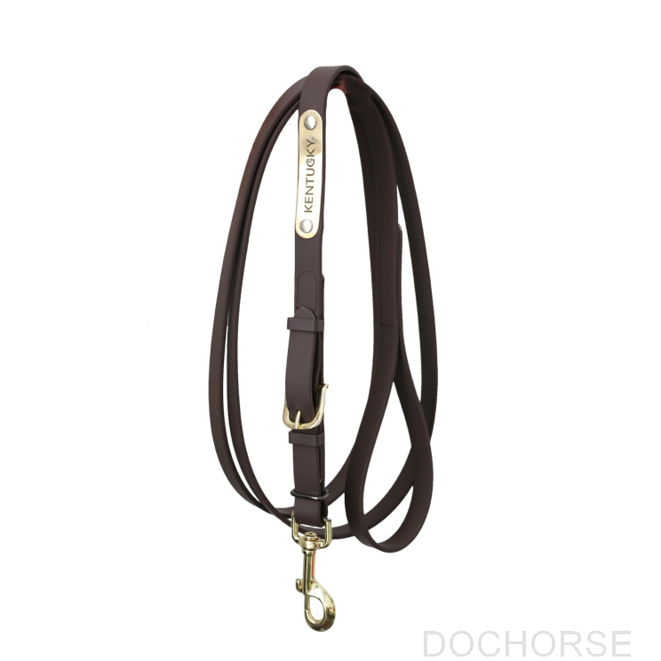 Kentucky Presentation Lead