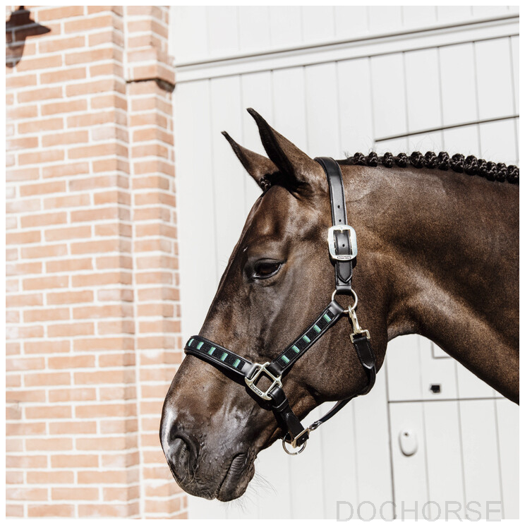 Kentucky Halster Pearls