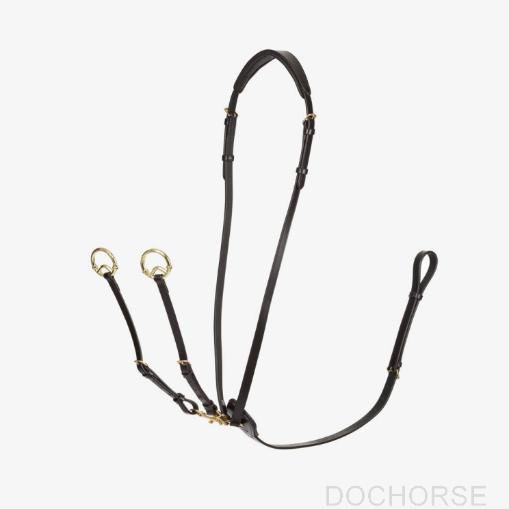 LeMieux Martingaal Kudos