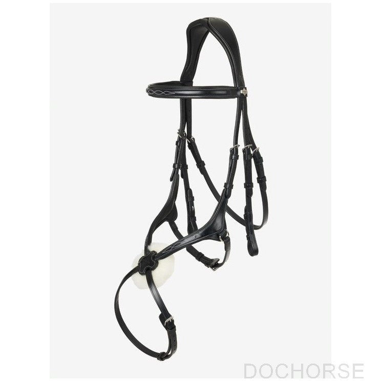 Lemieux grackle hoofdstel