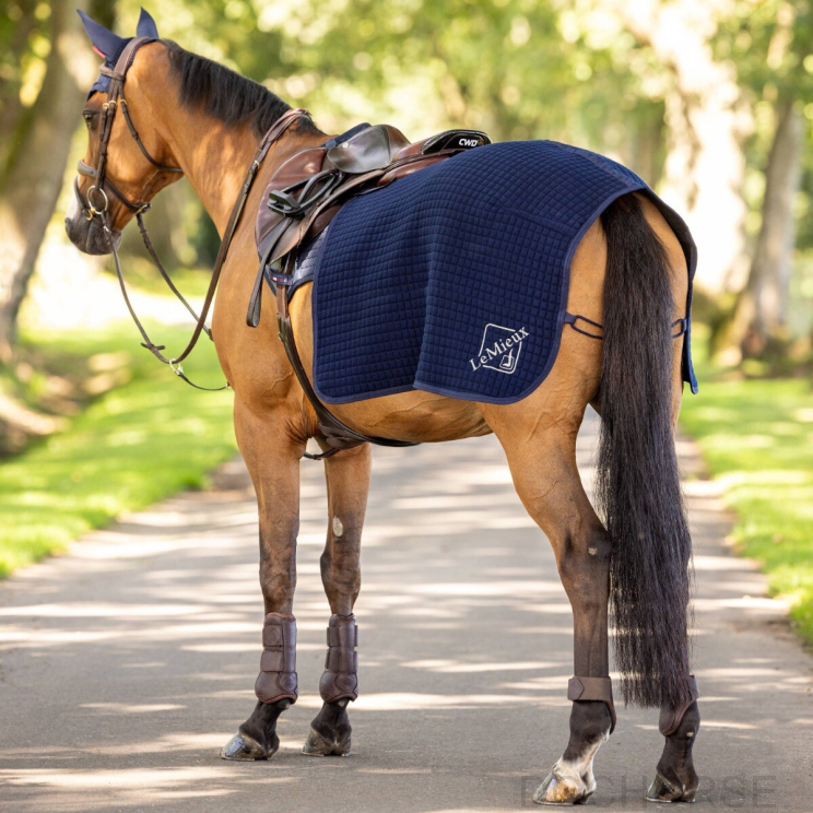 Lemieux Clima-Tek Exercise Quart Sheet Navy