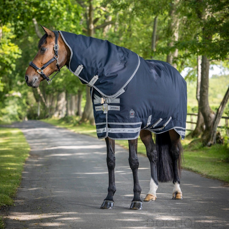 Lemieux Winterdeken 350 gr