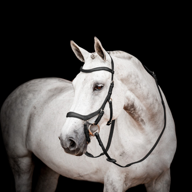 Horseware Micklem 2 Hoofdstel Competition