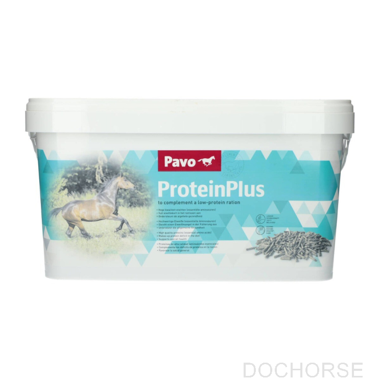 Pavo Proteinplus