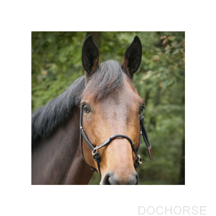 Penelope Rope Halter Black