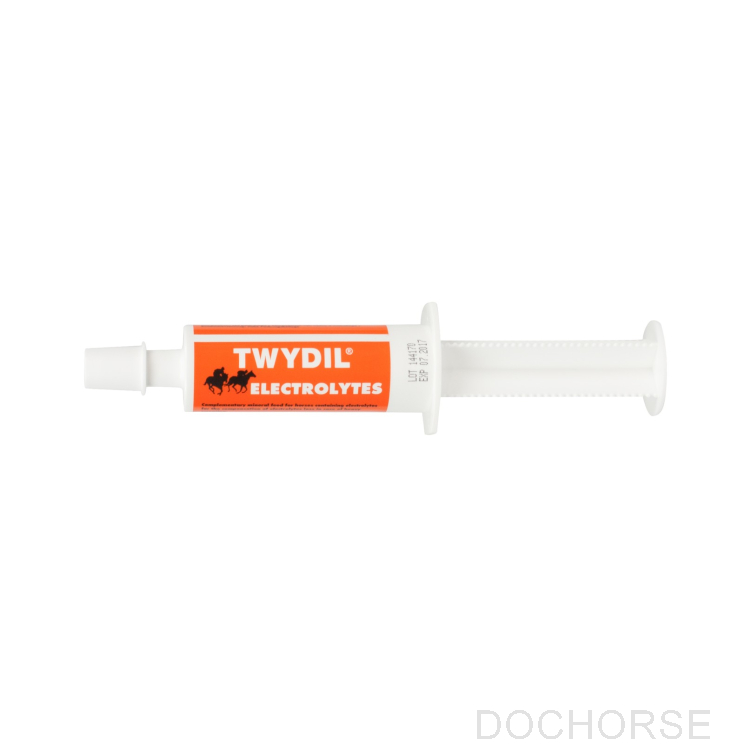 Twydil Electrolytes Pasta