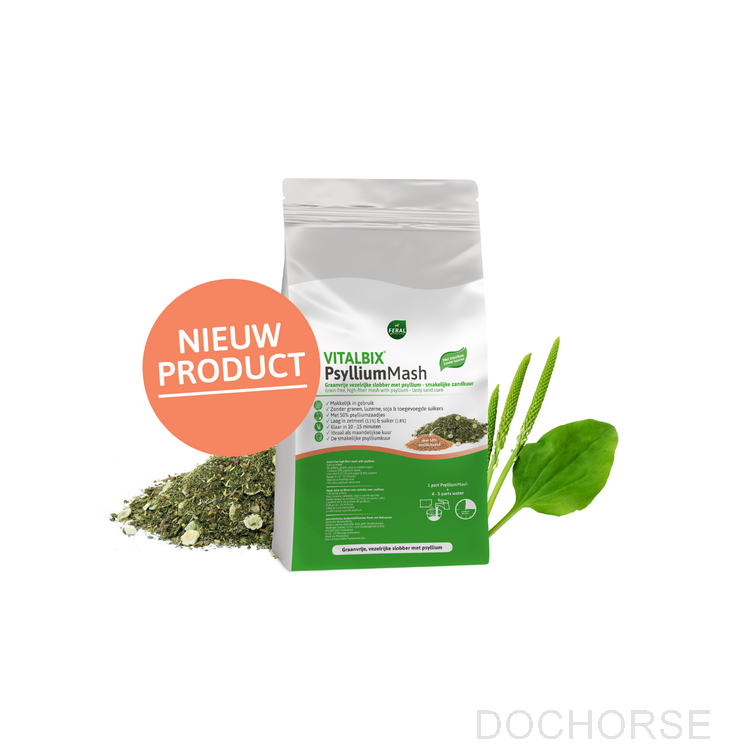 Vitalbix PsylliumMash