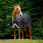 Rambo Turnout Rug 1680D 0g Black