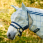 Horseware Fly Mask Newmarket Navy