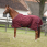 Equithème Turnout Rug 1200D Tyrex 150 G	