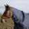 Equithème Neck Cover 600D Classic