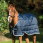 Horseware Liner 100 gr Pony