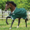 Horseware Rambo Original Lite Green