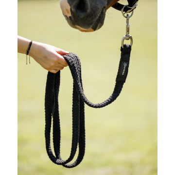 Dominick Halstertouw