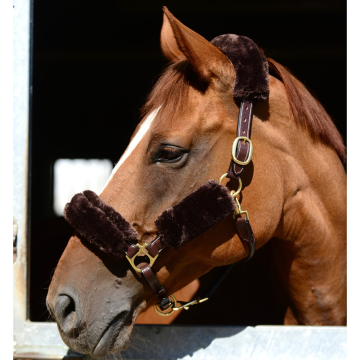 Kentucky halter set 4 pieces