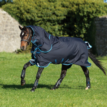 Amigo Bravo 12 Bundle