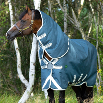 Amigo AmEco Bravo 12 Plus Lite