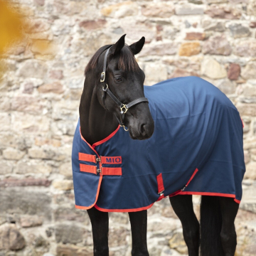 Amigo Mio Stable Sheet