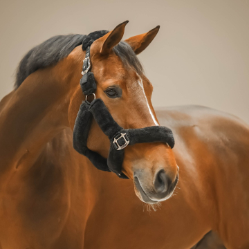 Back on Track Bont Halster