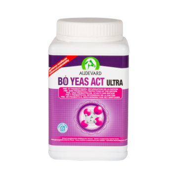 Audevard Bo Yeas Act Ultra