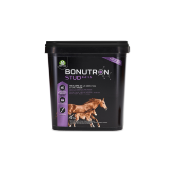 Audevard Bonutron Stud G1-L6