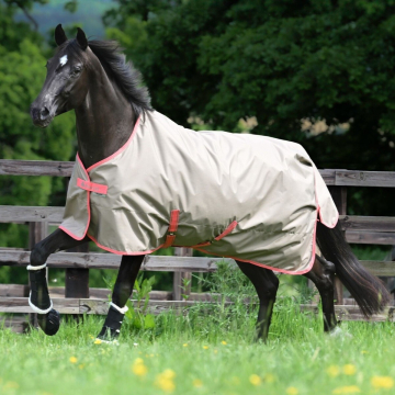 Bucas Freedom Hazelnut