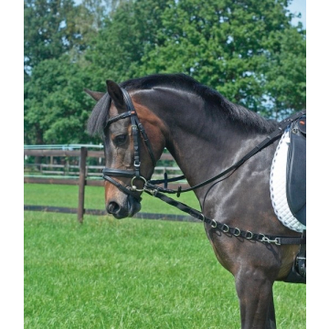 Busse side-reins rings-elastic