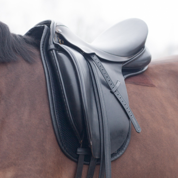 Cal rei dressage numnah saddle pad topacio