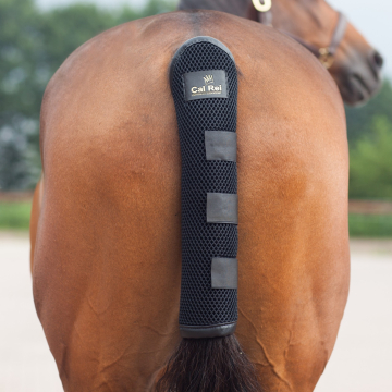 Cal Rei Tail Guard - Protector