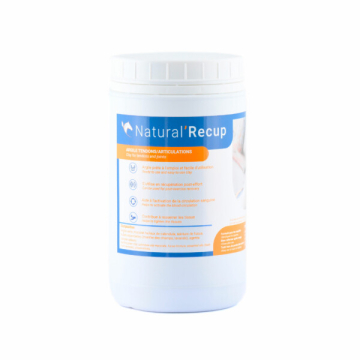 Natural Innov Natural Recup 1.3KG