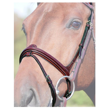 Dyon flash noseband